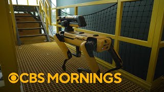 Boston Dynamics robot demo