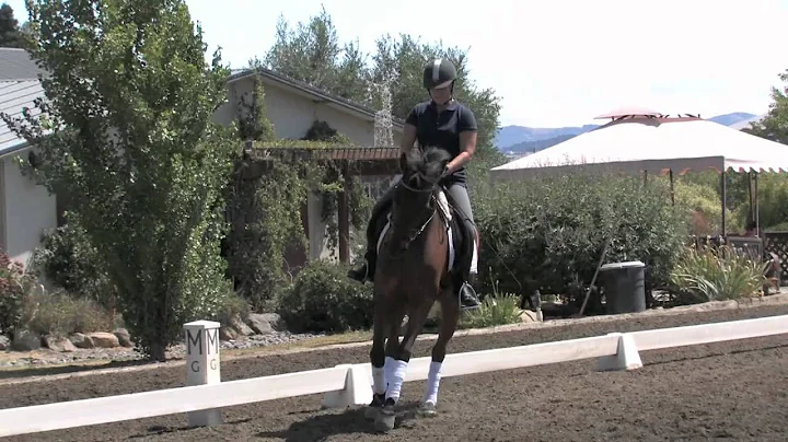 Lisa Levine and Milo, Jane Weatherwax Clinic: Test...