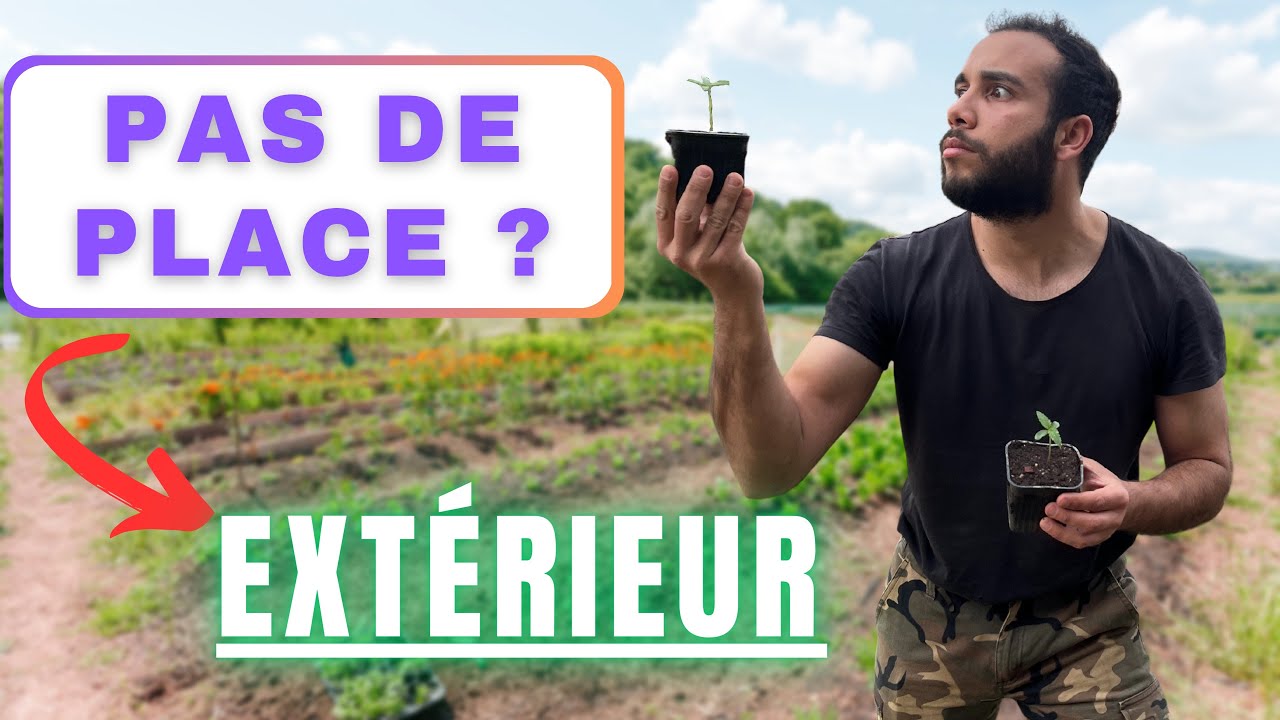 CULTIVER DU CBD EN FRANCE - 7) ON PLANTE NOS AUTOFLO EN OUTDOOR !