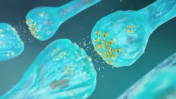 How to Download and Save WeChat Videos on iPhone & Android (Easy Guide 2025) WeChat video download