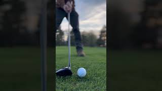 Fairway woods feel the best #golf #green #pga #pure #sunset #asmr #wood #fairway #beauty #art #work