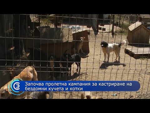 19.04.2022 - Започва
