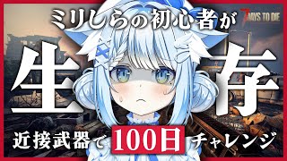 猫研あいおの配信のサムネイル画像