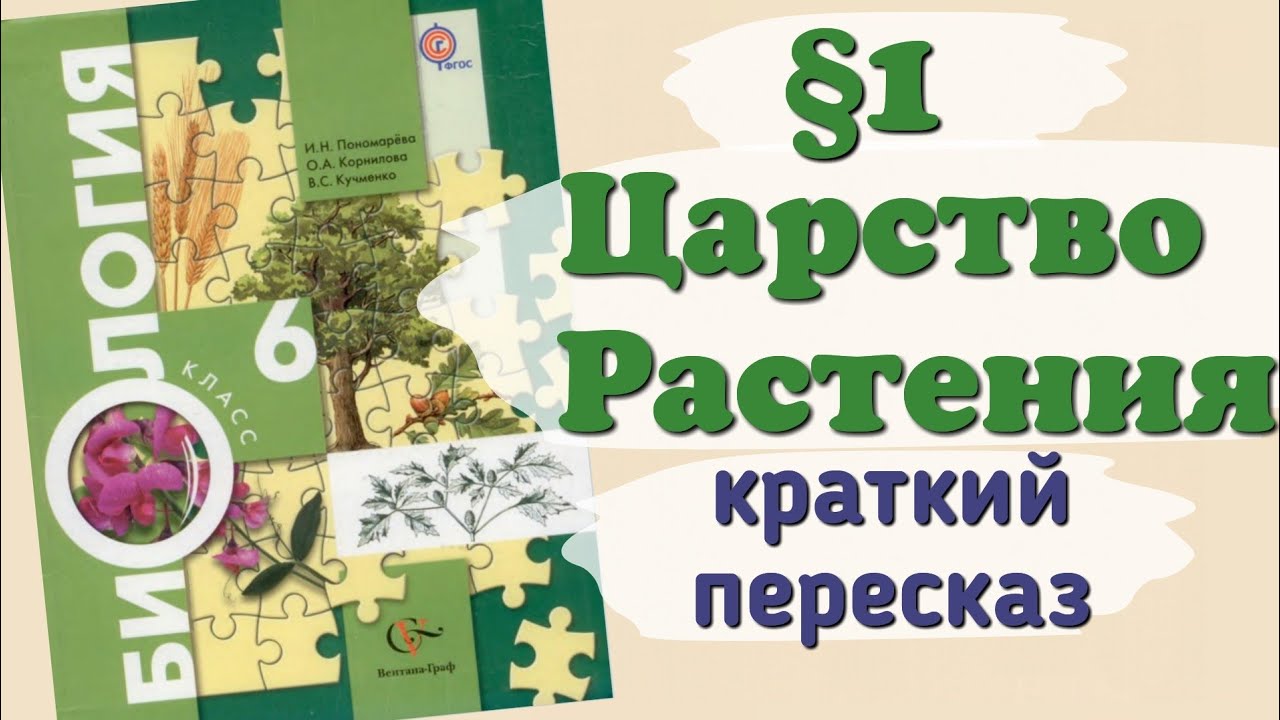 Биология 6 класс пономарева 22. Биология 6 класс Пономарева. Биология 6 класс учебник 2 часть. Биология шестой класс учебник царство растения и грибы Пономарева. Биология 8 класс Пономарева Корнилова.