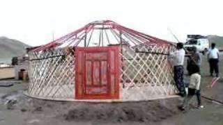 MONGOLIE montage d'une yourte en pays nomade