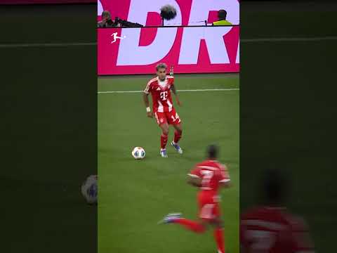 YouTube video ZLdnNssBeac thumbnail