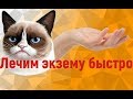 Быстрое лечение экземы | Морская соль от экземы | Лечение экземы дома