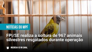 FPI/SE realiza a soltura de 967 animais silvestres resgatados durante a operação - 04/08/23 screenshot 5