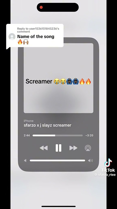 Sfarzo Rtee - screamer