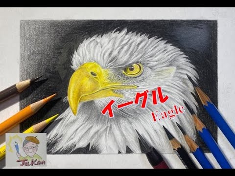 色鉛筆画】鷲(イーグル) How to draw an eagle with colored