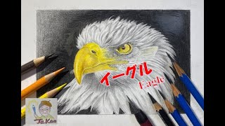 色鉛筆画】鷲(イーグル) How to draw an eagle with colored