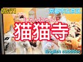 【旅行】京都市左京区にゃんにゃん寺、Nyannyan Temple, Sakyo-ku, Kyoto(English subtitles)