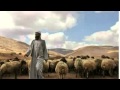 قصة عمر وابو عبيدة قصة عمر وابو عبيدة