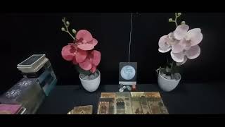 ❤️SSSTTT..YANG TERLINTAS DI BENAK SI DIA TENTANG DIRIMU SAAT DIA BERSAMA PASANGANNYA ENERGY UPDATE 💯