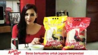 Download Lagu Beras Cap Ayam Jago RCTI - Mona Ratuliu MP3