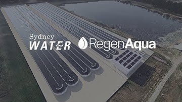 Macroalgae Bioremediation - A Fully Circular and Cost-Effective Solution to Treat Wastewater