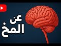 رحلة الدماغ لحظة الموت 