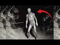These scariest footage of mysteries creatures caught on trail camera can make you faired