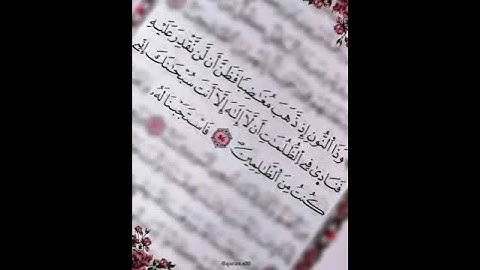 سورة الانبياء💙 الآية 86💙القارئ🍂وديع اليمني