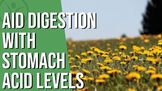 Thumbnail of the video “College of Naturopathic Medicine - How can we Increase and Support Stomach Acid?”