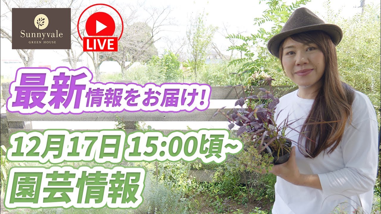 Gardening Information Wednesday Live December 17th from around 3pm
