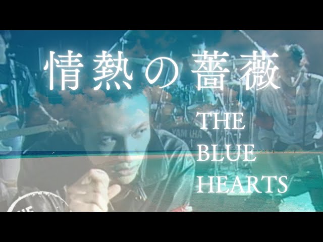 情熱の薔薇・THE BLUE HEARTS - YouTube