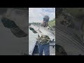 Big Dave pegou seu primeiro robalo listrado na Califórnia e foi gigante!