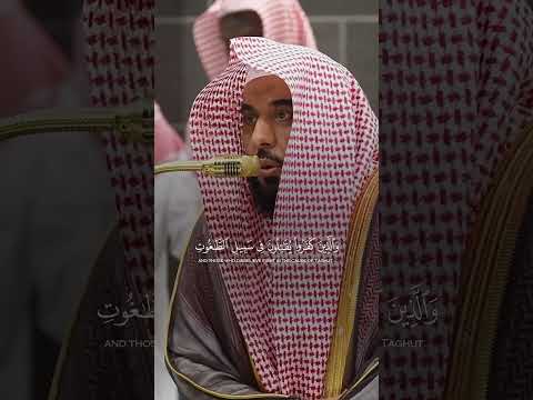 البلبل محاكيا لأيوب رحمه الله قرآن عبدالله الجهني محمد ايوب