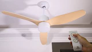 Indoor Lighting Lowes Ceiling Fan Remote Control Low Voltage Ceiling Fan With Light