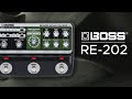 BOSS RE-202 Sound Demo (no talking) with MEGAfm and Roland SH-01a Synthesizer