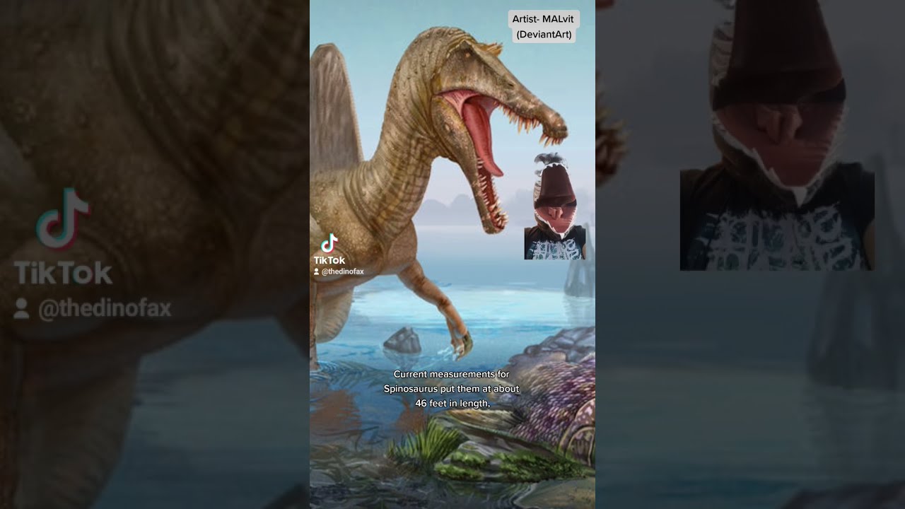 What Was The LARGEST Carnivorous Dinosaur 