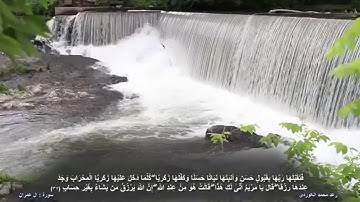 قراءة جميلة من سورة آل عمران ,, للقارئ •[ رعـد بـن مـحـمـد الكــوردي ]•