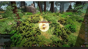 BDO Zerker hacking at manshaums