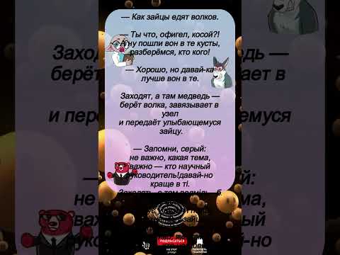 'ВАЖНО — кто научный руководитель!' 😂📚