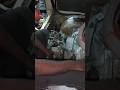 Why Your Maruti Omne Ven Isn't Starting #shortvideo