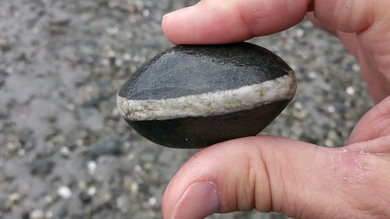 103. Rock hounding Cook inlet, and exploring Kincaid park, Anchorage Alaska