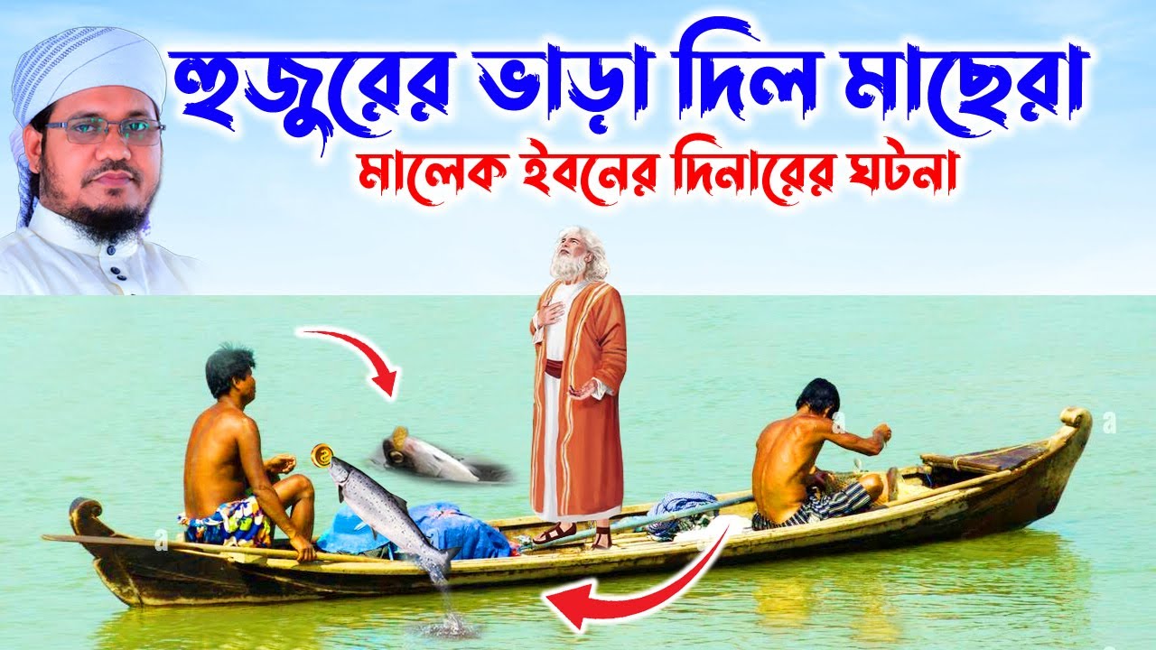 মোজাম্মেল হক সাঈদ । Mozammel Haque Sayed | sayed waz | abdullah tv | 01813809850 -হুজুর ও মাছের ঘটনা