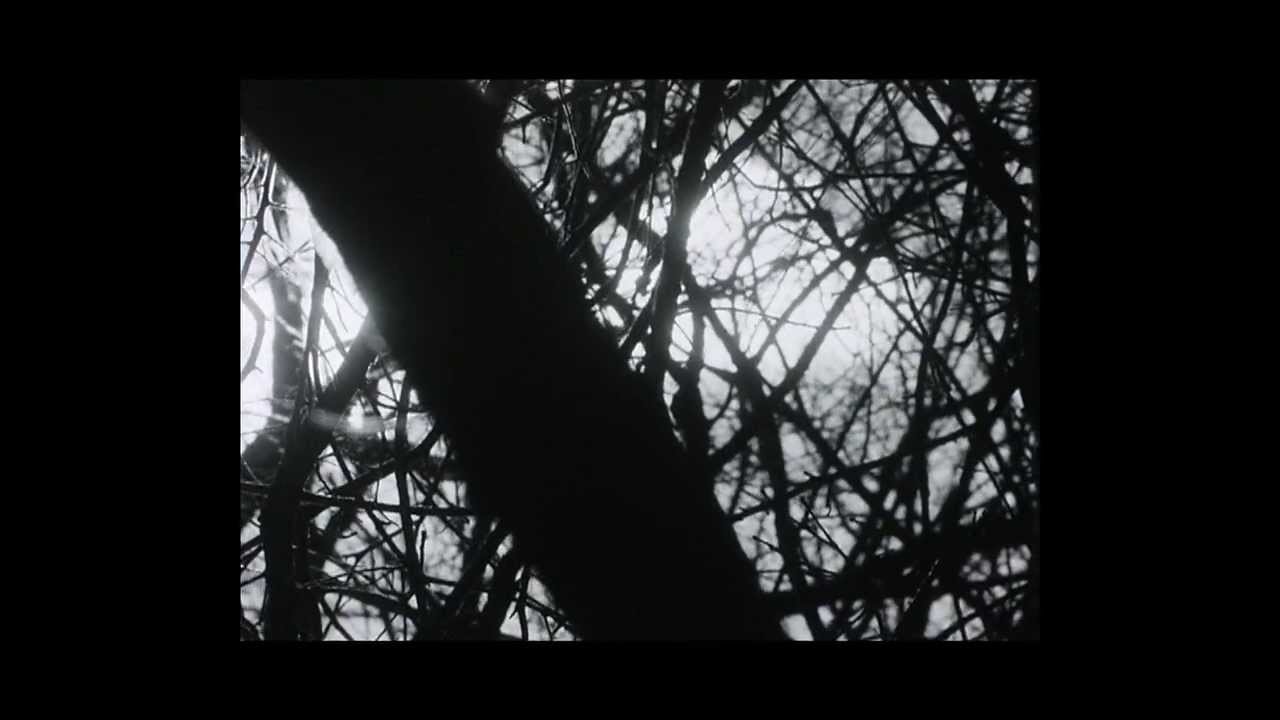 Moe Pope & Rain - Sunday Morning (feat. Tea Leigh) // Cocaine