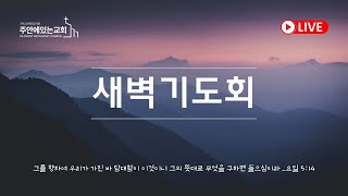 2023년 6월 28일(수) 새벽기도회 | 사도행전 4:23-37 | 대주재여, 만물을 지으신 이시요