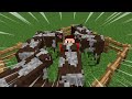 Tentando encontrar meus amigos disfarçados de vários mobs no minecraft