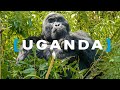 QUÉ VER EN UGANDA, además de gorilas de montaña