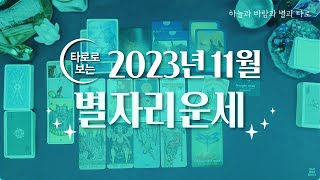 [타로/종합운] 2023년 11월 별자리운세