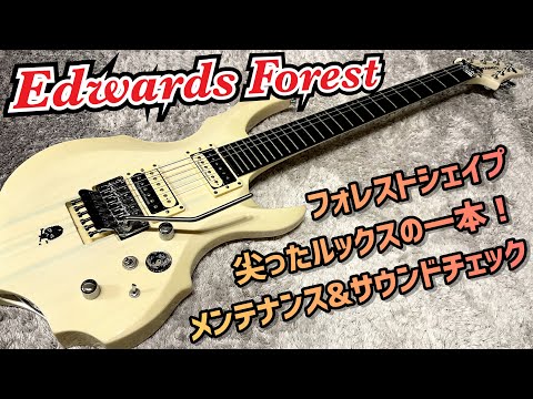 Edwards E-FR-130GT 希少シースルーブルー ESP | EDWARDS | E-FR-130GT