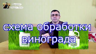 Схема обработки винограда