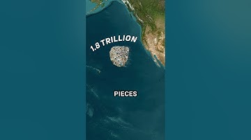 The Great Pacific Garbage Patch: A Map of Plastic Pollution