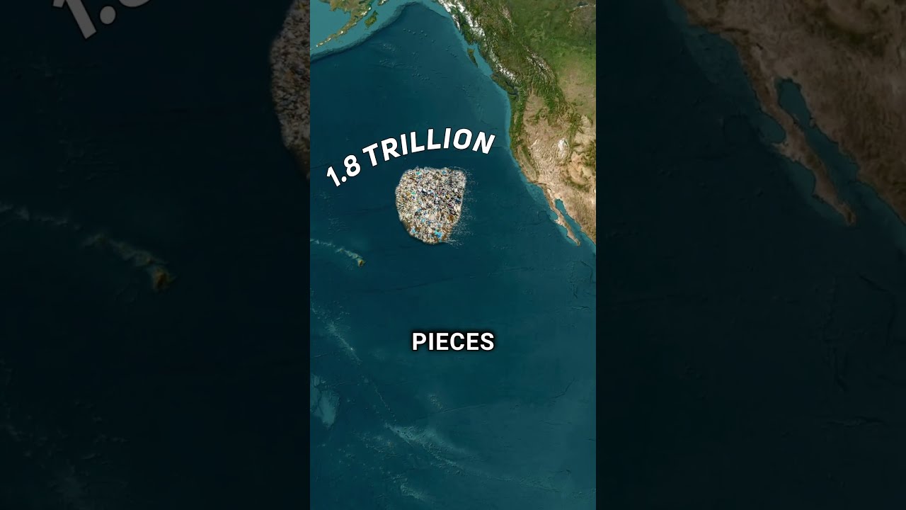 The Great Pacific Garbage Patch A Map Of Plastic Pollution