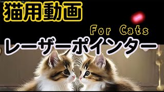 猫用動画・猫ちゃんが遊べる動画　レーザー（音無し)
