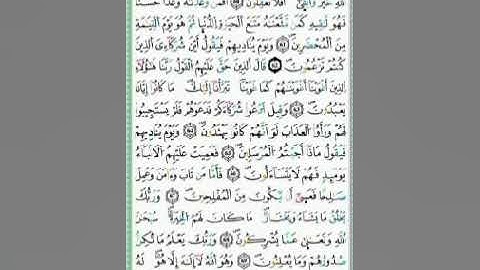 صفحة/٣٩٣/ رواية ورش عن نافع/ سورة القصص/ ابو النور الهادي