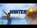 Winter Carp Fishing Tips | Tom Stokes