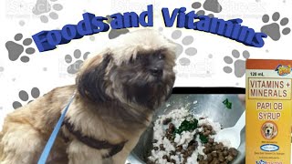 FOODS AND VITAMINS TO MY PREGNANT SHIH TZU by HERO MANALO 7,661 views 3 years ago 7 minutes, 16 seconds